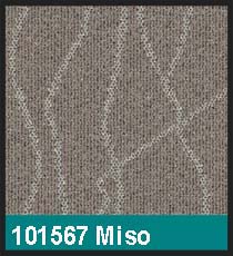 101567 Miso